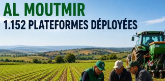 Al Moutmir déploie 1.152 plateformes de démonstration et renforce le semis direct en 2025-2026