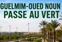 Guelmim-Oued Noun lance un Plan Ville Verte de 18,3 milliards de dirhams