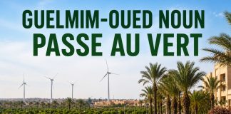 Guelmim-Oued Noun lance un Plan Ville Verte de 18,3 milliards de dirhams