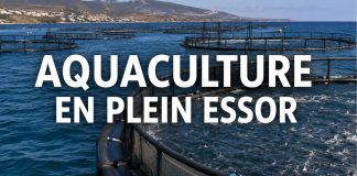 Aquaculture : le Maroc atteint 244 projets actifs et vise 90.000 tonnes par an