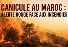 Vague de chaleur : le Maroc en alerte face au risque d’incendies