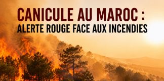Vague de chaleur : le Maroc en alerte face au risque d’incendies