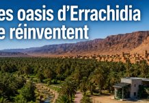 Errachidia : nouveaux projets pour développer les oasis d’Aoufous et de Rteb