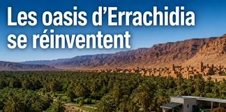 Errachidia : nouveaux projets pour développer les oasis d’Aoufous et de Rteb