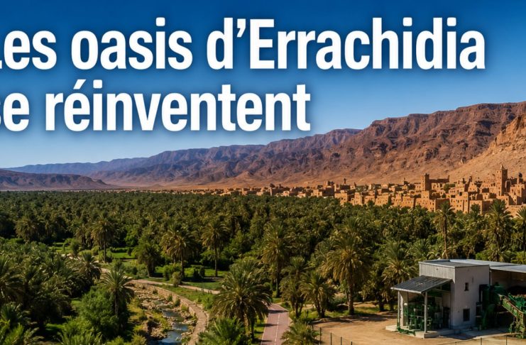 Errachidia : nouveaux projets pour développer les oasis d’Aoufous et de Rteb