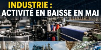 Industrie : l’activité recule en mai, mais les industriels restent confiants pour les prochains mois