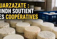 Ouarzazate : l’INDH renforce l’économie sociale