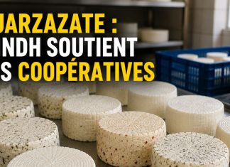 Ouarzazate : l’INDH renforce l’économie sociale