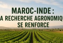 Maroc–Inde : renforcement de la coopération en recherche agronomique