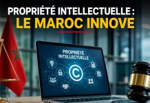 Propriété intellectuelle : le Maroc renforce sa stratégie d’innovation