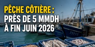 Pêche côtière et artisanale : la valeur des débarquements atteint près de 5 MMDH à fin juin 2026